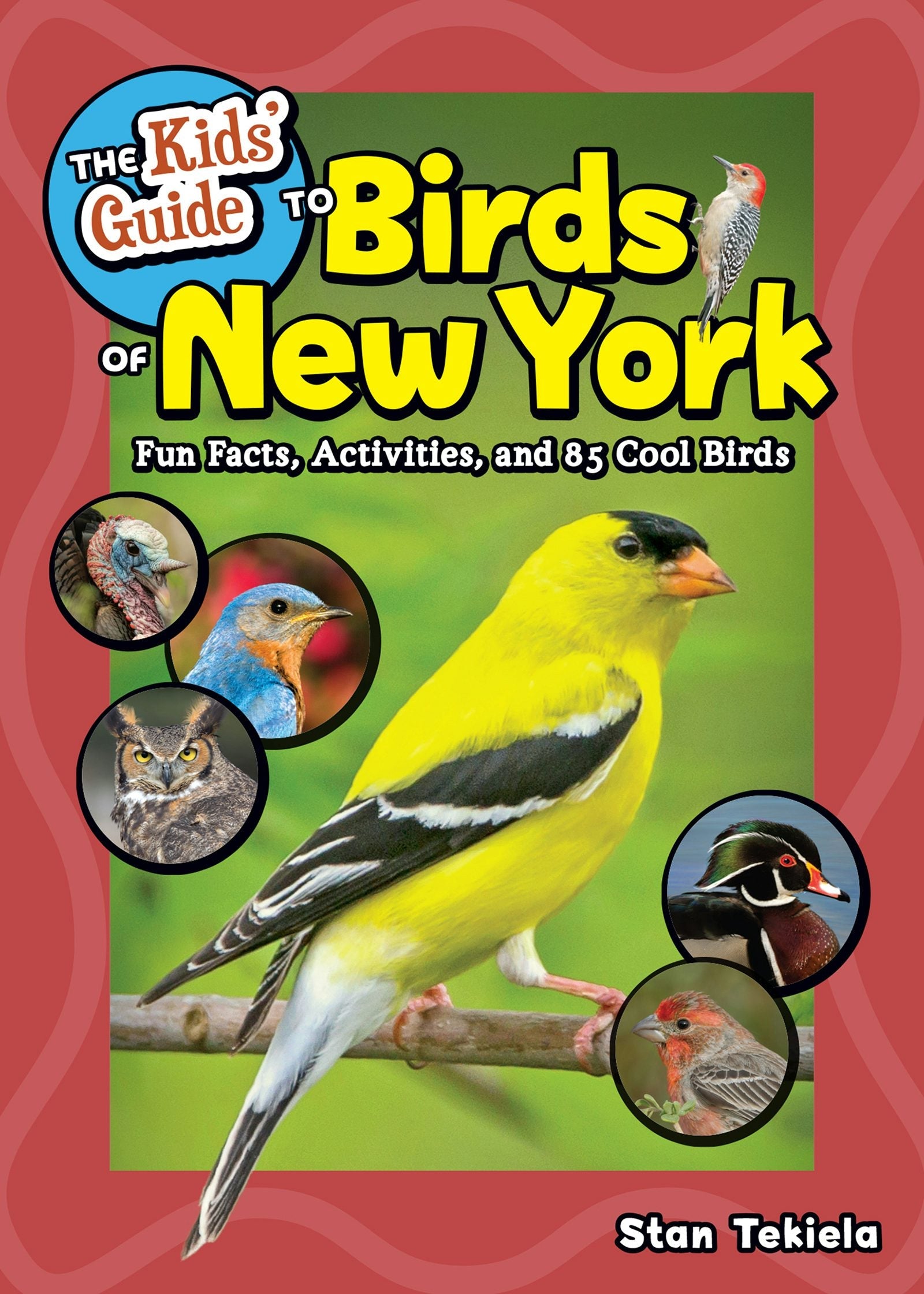 Book cover image for The Kids' Guide to Birds of New York ISBN: 9781647555078